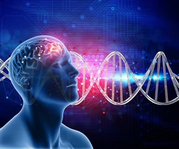 3D illustration of a human brain with a DNA double helix in the background.