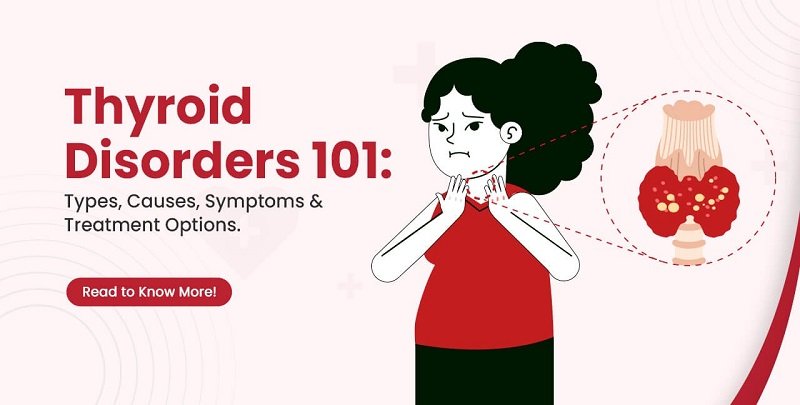 Illustration of a woman holding her throat with an enlarged illustration of the thyroid gland, and text about thyroid disorders.